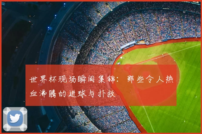 世界杯现场瞬间集锦：那些令人热血沸腾的进球与扑救