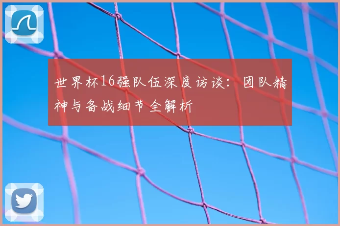 世界杯16强队伍深度访谈:团队精神与备战细节全解析
