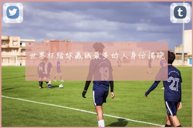 世界杯赌球赢钱最多的人身份揭晓