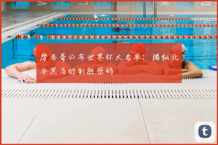 摩洛哥公布世界杯大名单:揭秘北非黑马的制胜密码
