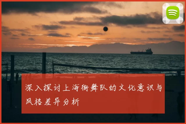 深入探讨上海街舞队的文化意识与风格差异分析