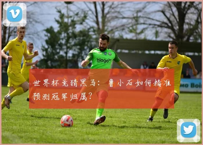 世界杯竞猜黑马：鲁小石如何精准预测冠军归属？