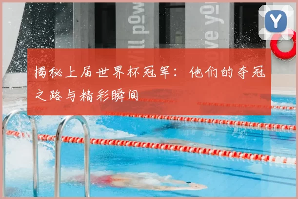 揭秘上届世界杯冠军：他们的夺冠之路与精彩瞬间
