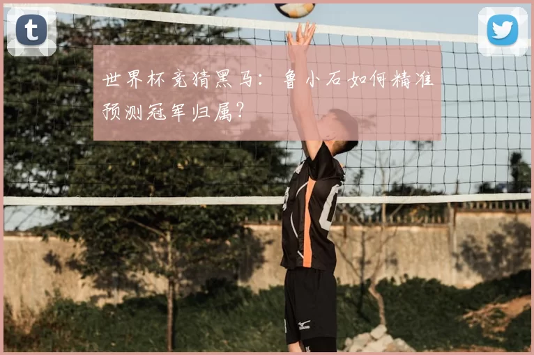 世界杯竞猜黑马:鲁小石如何精准预测冠军归属?