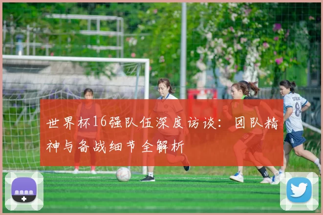 世界杯16强队伍深度访谈:团队精神与备战细节全解析