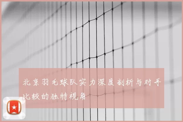 北京羽毛球队实力深度剖析与对手比较的独特视角
